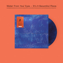 Load image into Gallery viewer, Water From Your Eyes - It's a Beautiful Place
