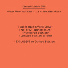 Load image into Gallery viewer, Water From Your Eyes - It's a Beautiful Place