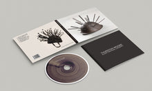 Load image into Gallery viewer, Thurston Moore - Flow Critical Lucidity