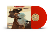 Load image into Gallery viewer, Kelly Finnigan - B-Sides, Singles & Forgotten Gems