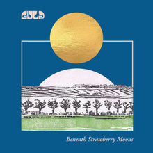 Load image into Gallery viewer, Gulp - Beneath Strawberry Moons