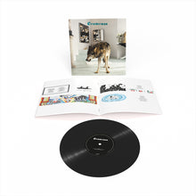 Load image into Gallery viewer, Grinderman - Grinderman 2 (2025 Reissue)