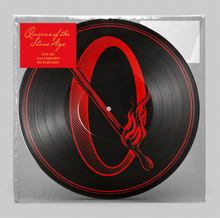 Load image into Gallery viewer, Queens of the Stone Age - Perfecth