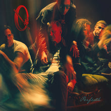 Load image into Gallery viewer, Queens of the Stone Age - Perfecth