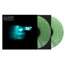 Load image into Gallery viewer, Phoebe Bridgers - Lost Weekend