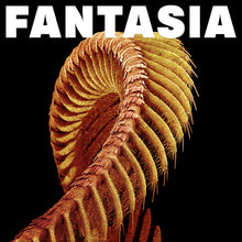 Load image into Gallery viewer, SLIFT - Fantasia