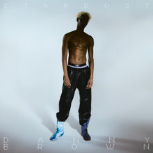 Load image into Gallery viewer, Danny Brown - Stardust