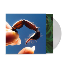 Load image into Gallery viewer, Squid - Cowards