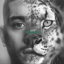 Load image into Gallery viewer, Zayn - Konnakol