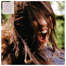 Load image into Gallery viewer, Olivia Rodrigo - Stupid Song