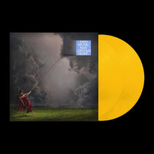 Load image into Gallery viewer, Raye - THIS ALBUM MAY CONTAIN HOPE.
