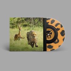 Thundercat & Tame Impala - No More Lies Ltd 7"