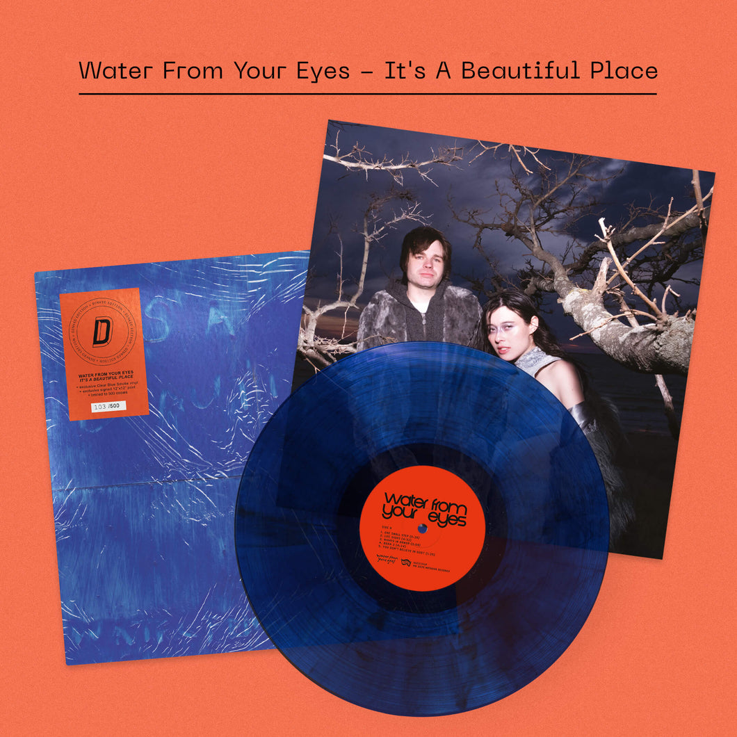 Water From Your Eyes - It's a Beautiful Place