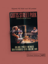 Load image into Gallery viewer, Gotts Street Park - Somewhere Between
