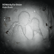 Load image into Gallery viewer, Kate Bush - 50 Words For Snow (2018 Remaster)
