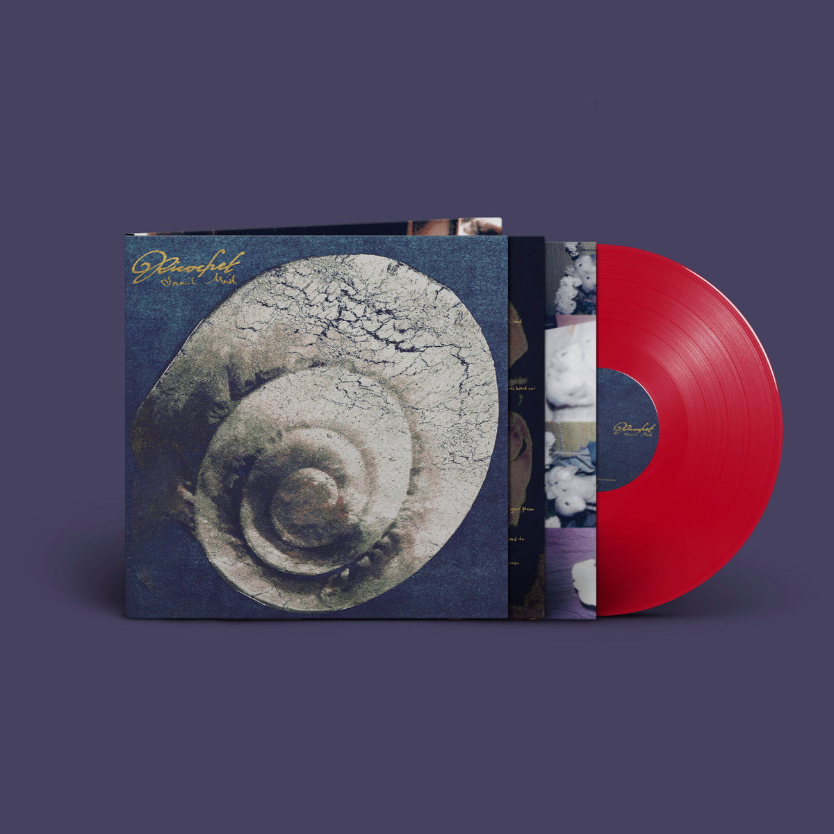 Snail Mail - Ricochet – David's Music LGC