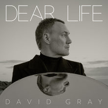 Load image into Gallery viewer, David Gray - Dear Life
