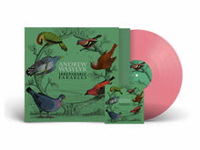 Load image into Gallery viewer, Andrew Wasylyk - Irreparable Parables
