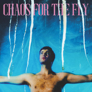 Grian Chatten (Fontaines DC) - Chaos For The Fly