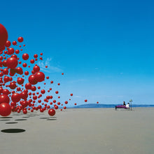 Load image into Gallery viewer, The Cranberries - Wake Up And Smell The Coffee (25th Anniversary Edition)
