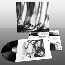 Load image into Gallery viewer, Ty Segall - Chrome

