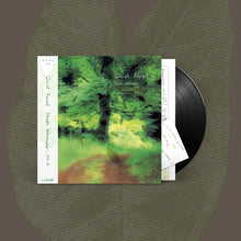Load image into Gallery viewer, Hiroshi Yoshimura - Quiet Forest
