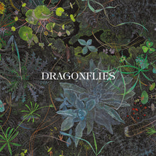 Load image into Gallery viewer, Dragonflies (Dhani Harrison &amp; Nigel Godrich) - Dragonflies
