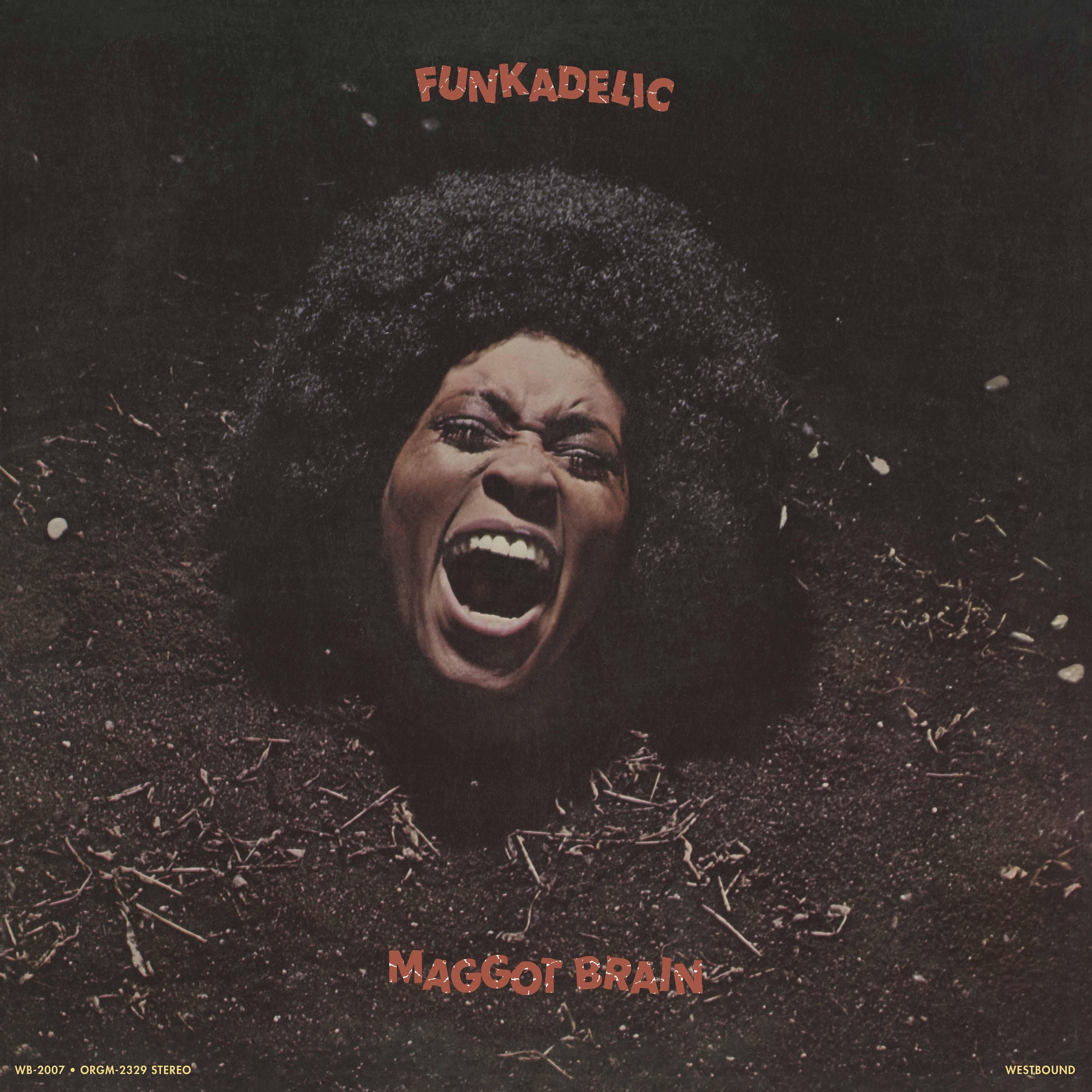 Funkadelic - Maggot Brain – David's Music LGC
