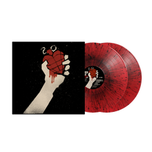 Load image into Gallery viewer, Green Day - American Idiot (20th Anniversary Edition)
