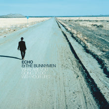 Load image into Gallery viewer, Echo &amp; The Bunnymen - What Are You Going To Do With Your Life? (25th Anniversary)
