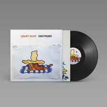 Load image into Gallery viewer, Gruff Rhys - Dim Probs
