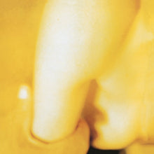 Load image into Gallery viewer, Smashing Pumpkins - Pisces Iscariot [2LP]
