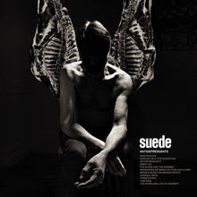 Load image into Gallery viewer, Suede - Antidepressants
