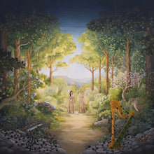 Load image into Gallery viewer, Julianna Barwick &amp; Mary Lattimore - Tragic Magic
