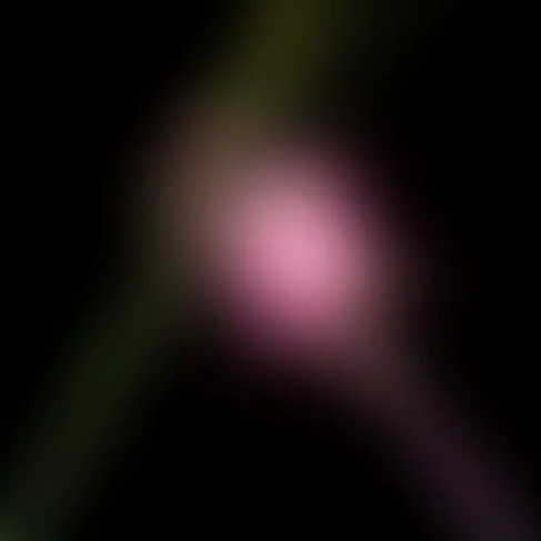 Various Artists - Wicked For Good: The Soundtrack [Alt Cover Picture Disc 2LP] [BF25]