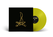 Load image into Gallery viewer, Frank Turner - Campfire Punkrock
