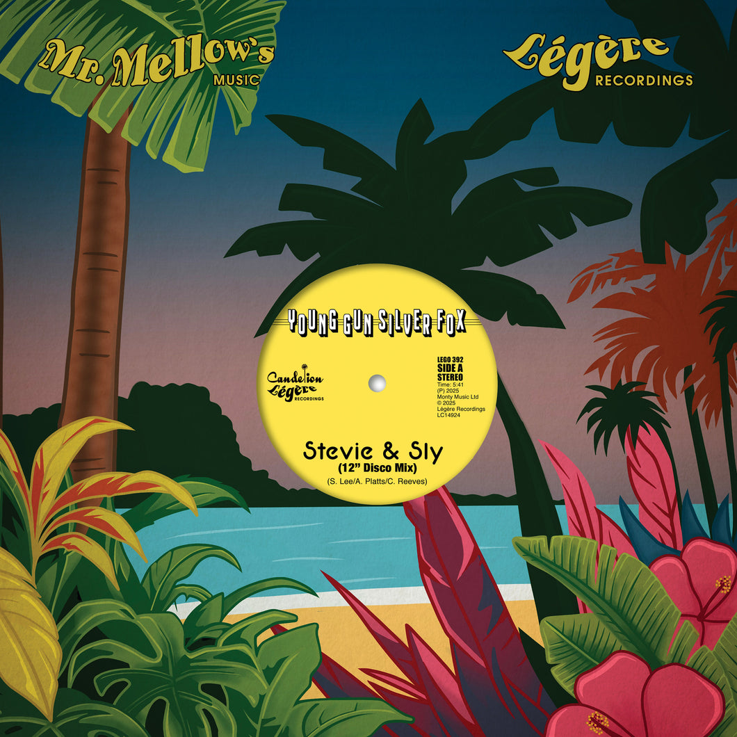 Young Gun Silver Fox - Disco Mixes [BF25]