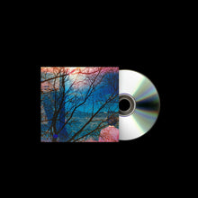 Load image into Gallery viewer, Idlewild - Idlewild
