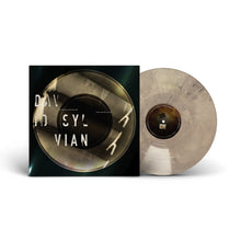Load image into Gallery viewer, David Sylvian - The Distance Between The Killer And The Killing

