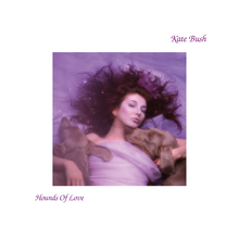 Load image into Gallery viewer, Kate Bush - Hounds of Love (2018 Remaster)
