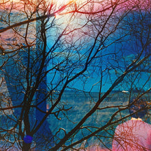 Load image into Gallery viewer, Idlewild - Idlewild
