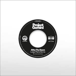 Project Gemini - After the Dawn (Large Plants Remix) / Darkness Rising 7"